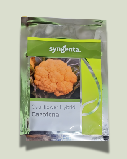 CAROTENA