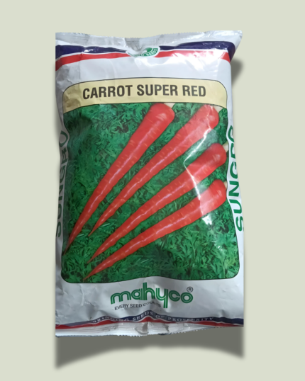 CARROT SUPER RED