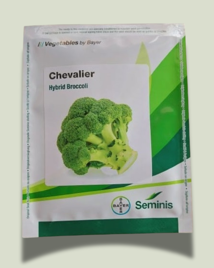 CHEVALIER/ शेवेलियर
