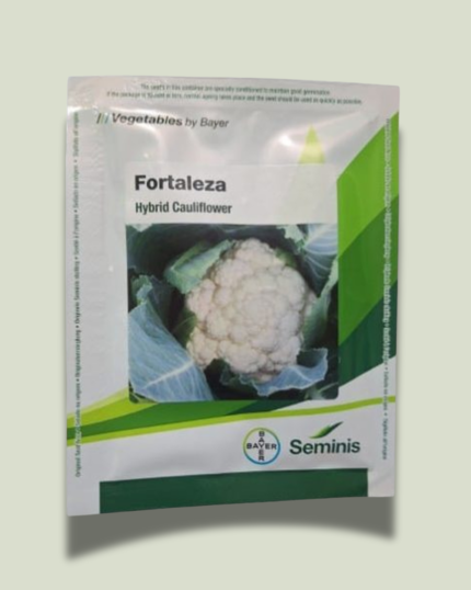FORTALEZA/फोर्टालेज़ा