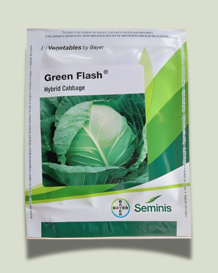 GREEN FLASH