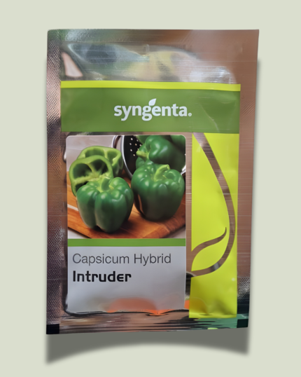 INTRUDER