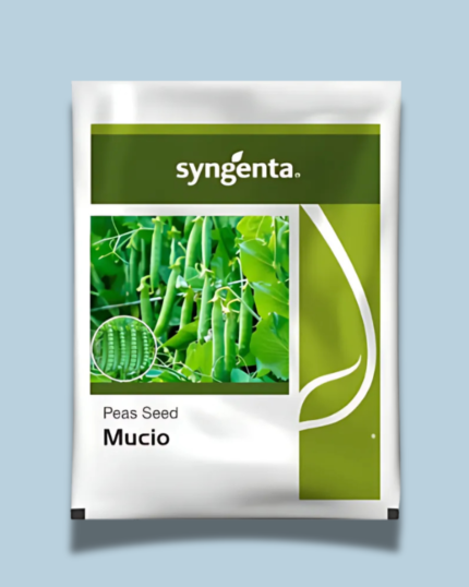 MUCIO
