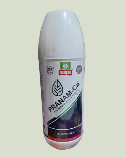 PRANAM-Ca