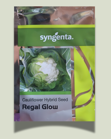 REGAL GLOW/रिगल ग्लो