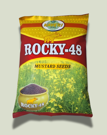ROCKY- 48