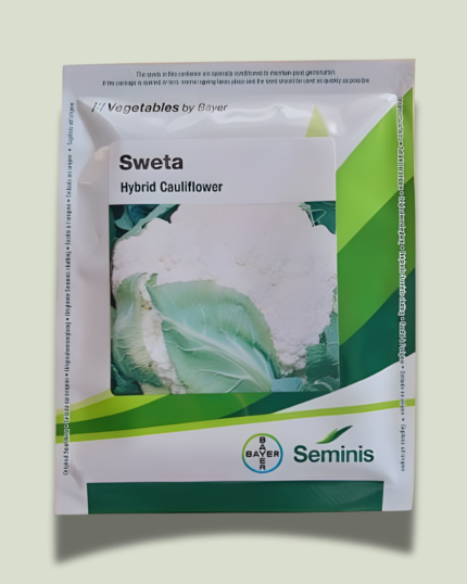 SWETA/श्वेता