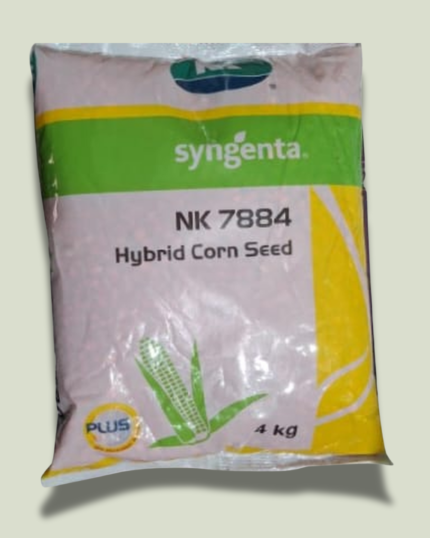 NK 7884