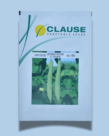 CLAUSE