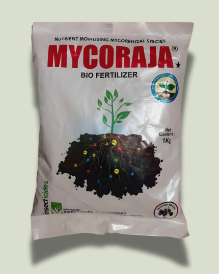 MYCORERAJA