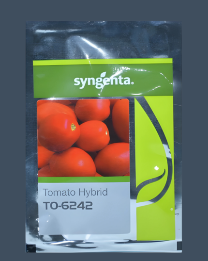 6242,