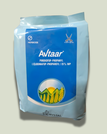 AVTAAR