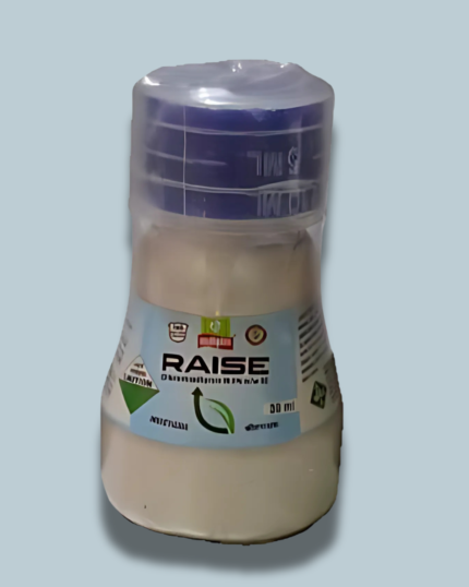 Raise