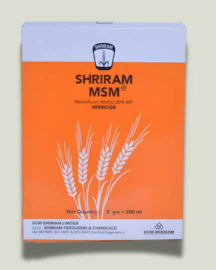 SRIRAM MSM