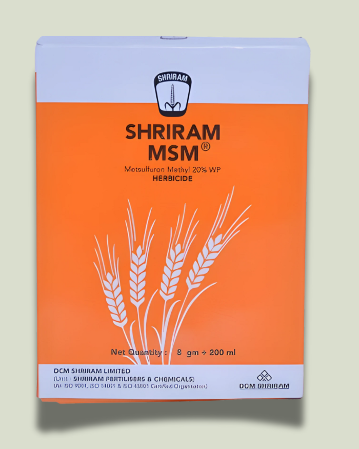 SRIRAM MSM
