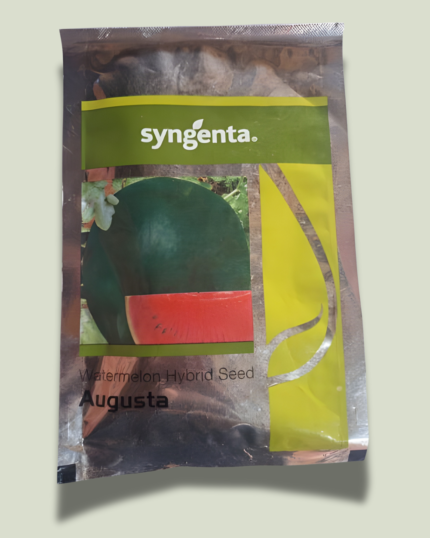 AUGUSTA