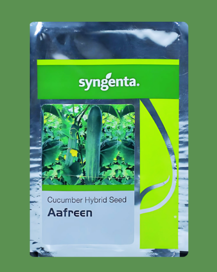 Aafreen
