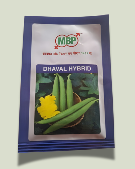 DHAVAL SPONGE GOURD