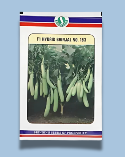 F1 HYBRID BRINJAL NO 183
