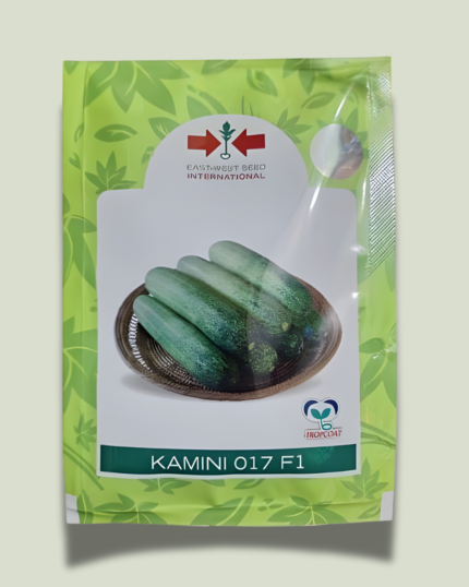 KAMINI 017 F1