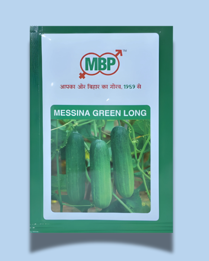 MESSINA GREEN LONG