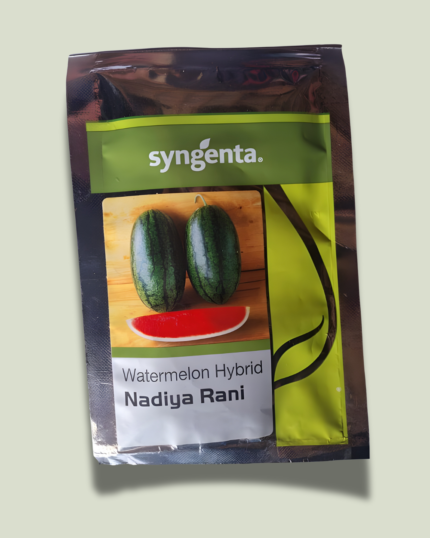 NADIYA RANI