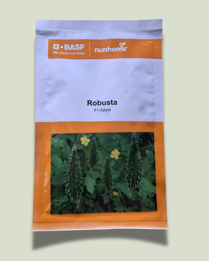 ROBUSTA (रोबस्टा)