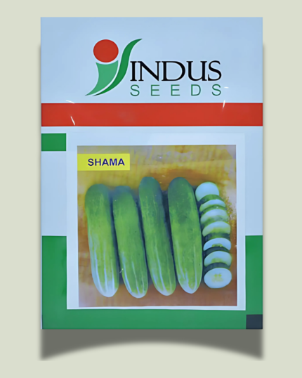 SHAMA