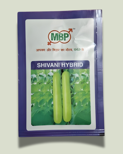 SHIVANI HYBRID