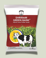 SRIRAM GREEN BANK