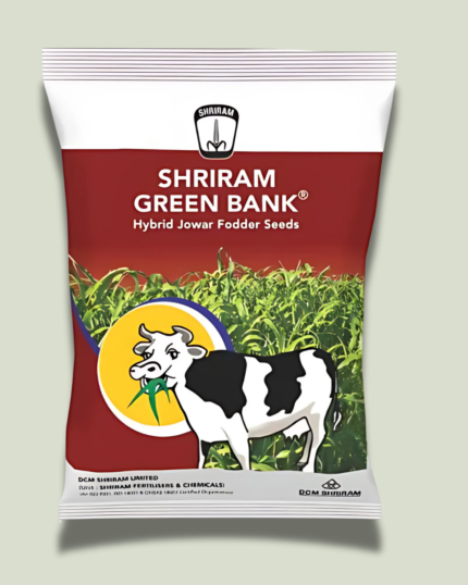 SRIRAM GREEN BANK