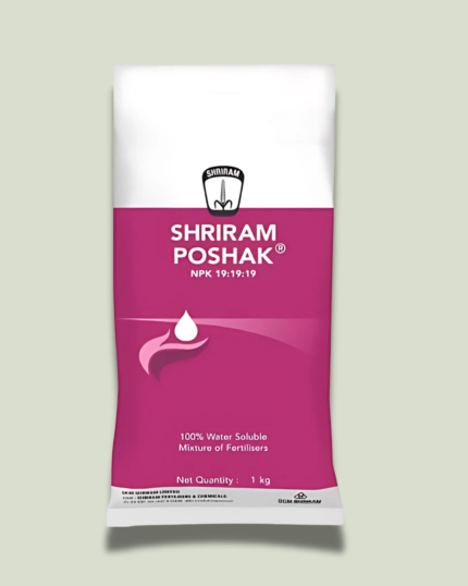 SRIRAM POSHAK/श्रीराम ग्रीन पोशाक
