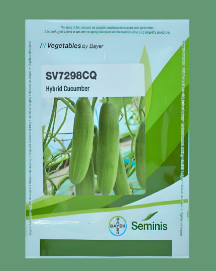SV7298CQ, cucumber