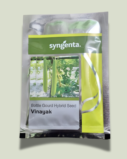 VINAYAK BOTTLE GOURD