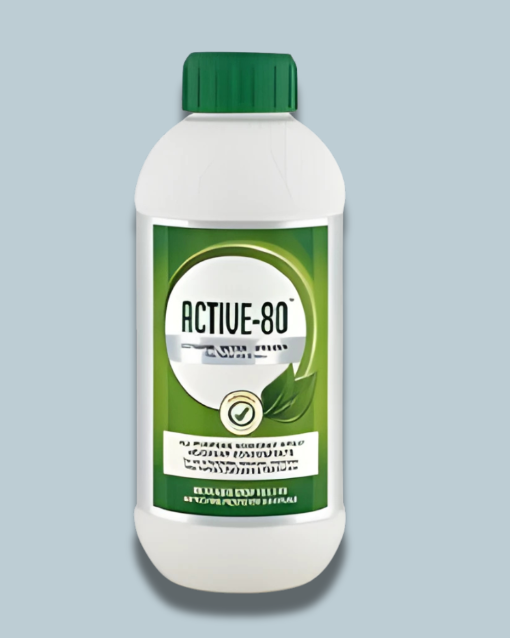 ACTIVE 80सक्रिय 80 ACTIVE 80/सक्रिय 80