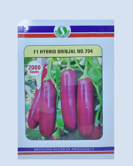 F1 HYBRID BRINJAL 704