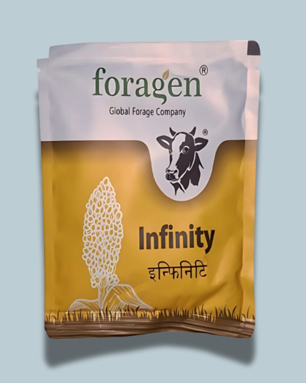 INFINITY (इन्ˈफ़िनटि)