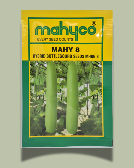 MAHY 8 (BOTTLEGOURD)