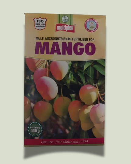 MANGO/मैंगओ