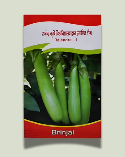 RAJENRDA -1