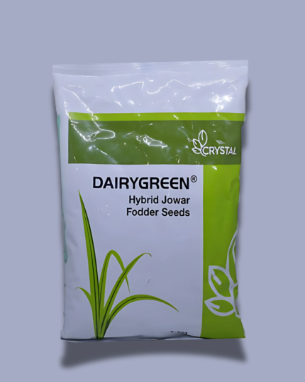 DAIRYGREEN(डेरी ग्रीन )