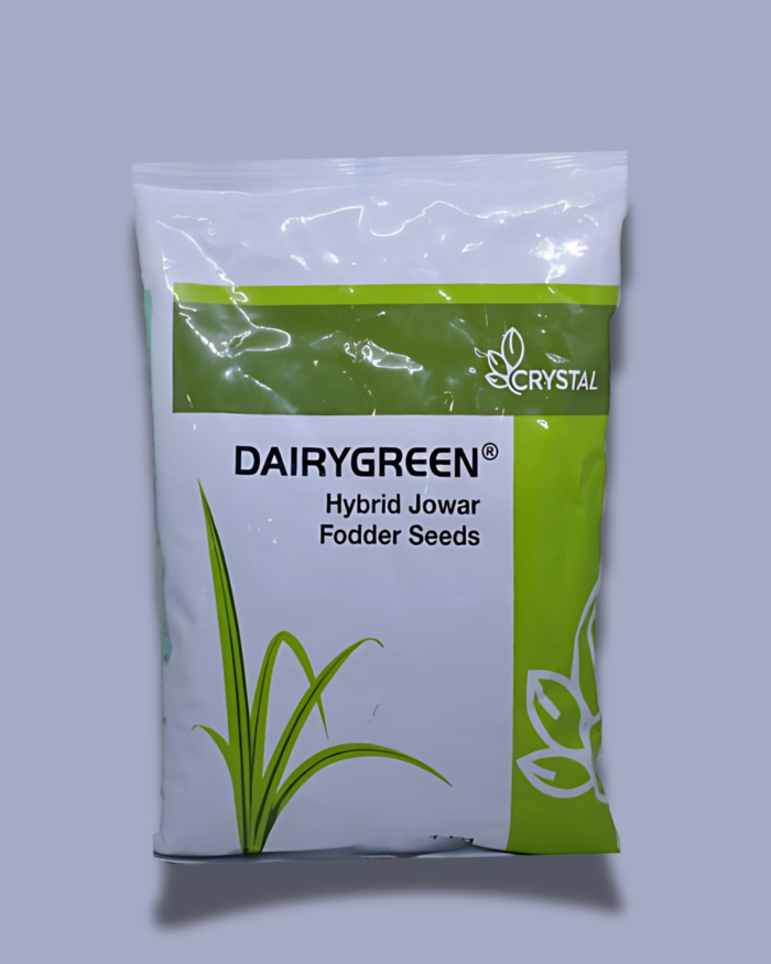 DAIRYGREEN(डेरी ग्रीन )