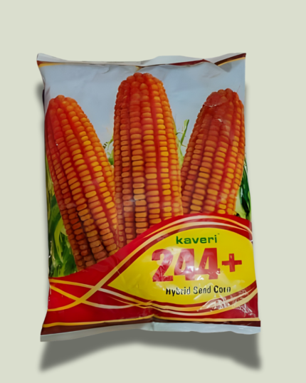 KAVERI 244+