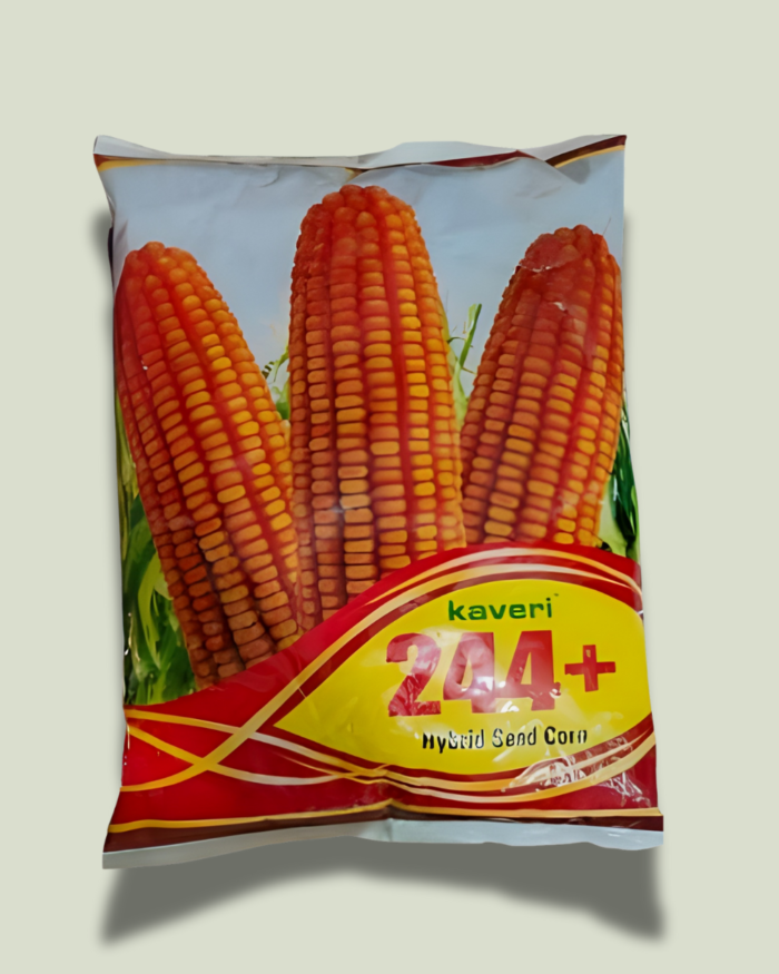 KAVERI 244+