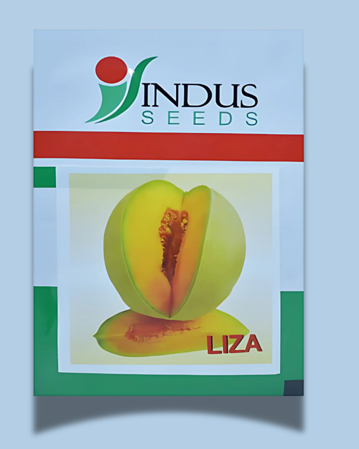 LIZA