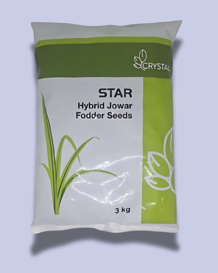 STAR/ स्टार