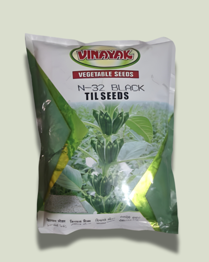 N-32 BLACK TIL SEEDS
