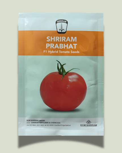 SHRIRAM PRABHAT