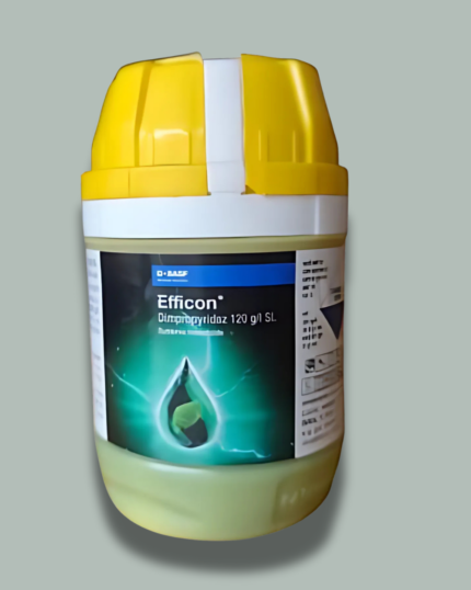 EFFICON/एफ्फिकोन