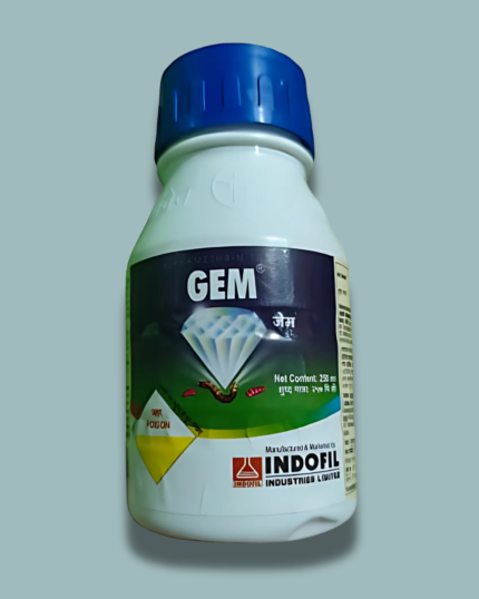 GEM/जेम